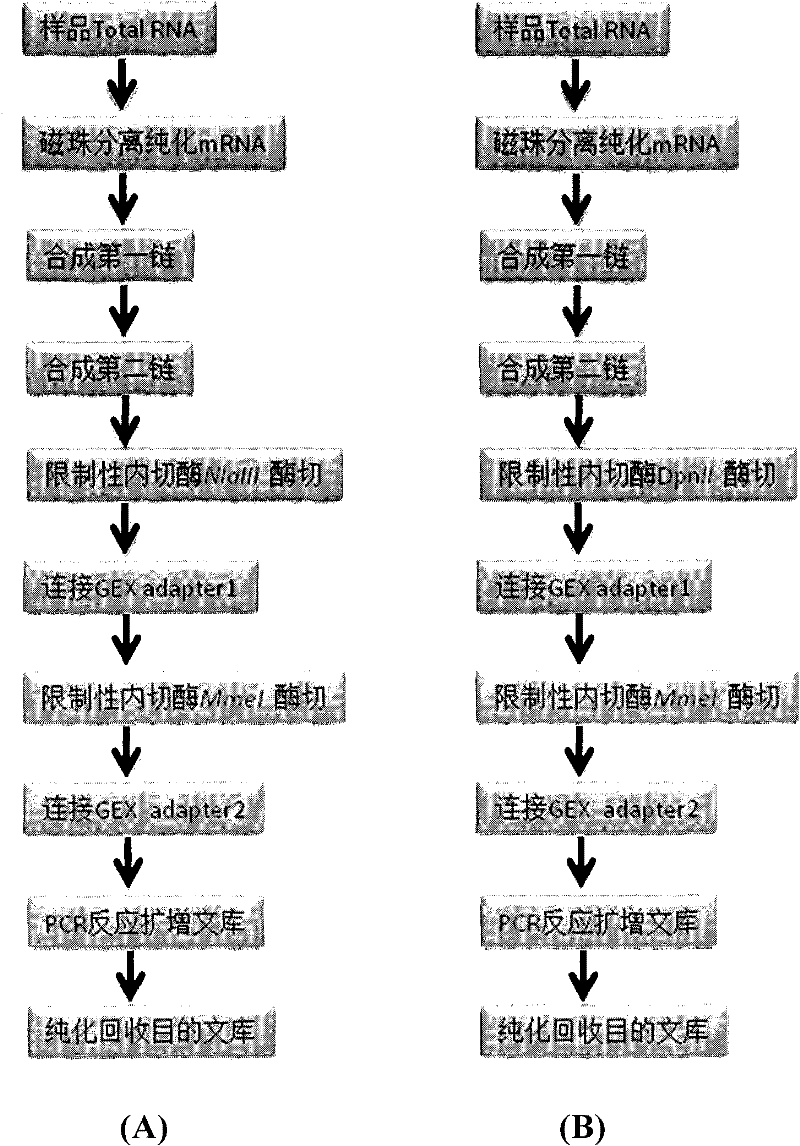 Indexes for digital gene expression profiling (DGE) and use method thereof