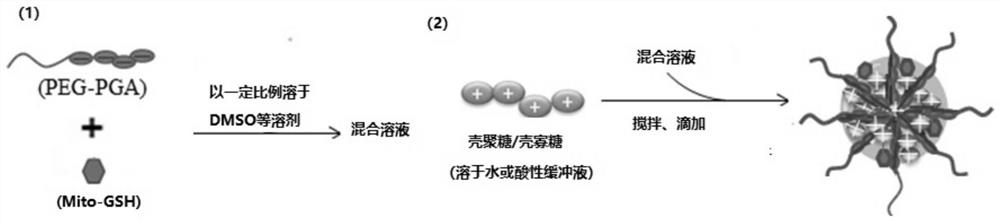 Mitochondria-targeted glutathione derivative nanopreparation and application thereof