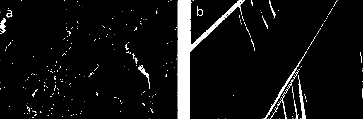 Ultraviolet-resistant moisture absorbing and heating protein tencel fiber and preparation method thereof