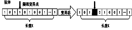 Line feature simplification method based on clonal selection algorithm