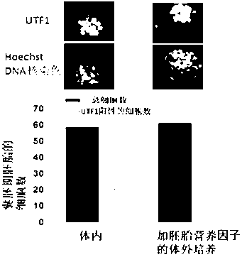 Split-range embryo culture solution and preparation method thereof