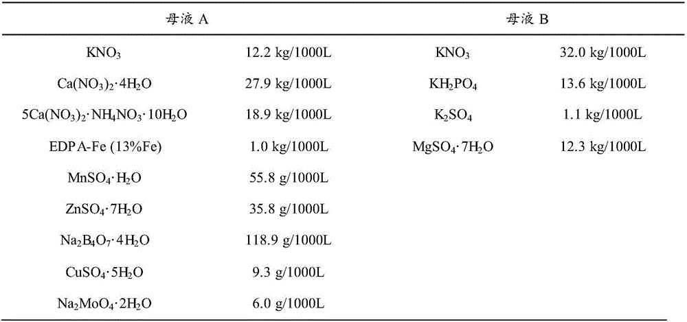 Method for cultivating brassica chinensis by adopting fruit vegetable type vegetable abandon rock wool