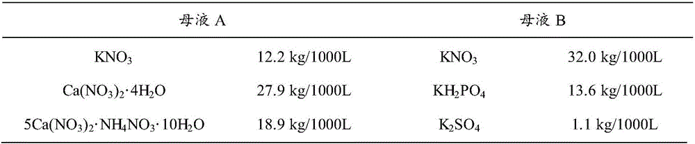 Method for cultivating brassica chinensis by adopting fruit vegetable type vegetable abandon rock wool