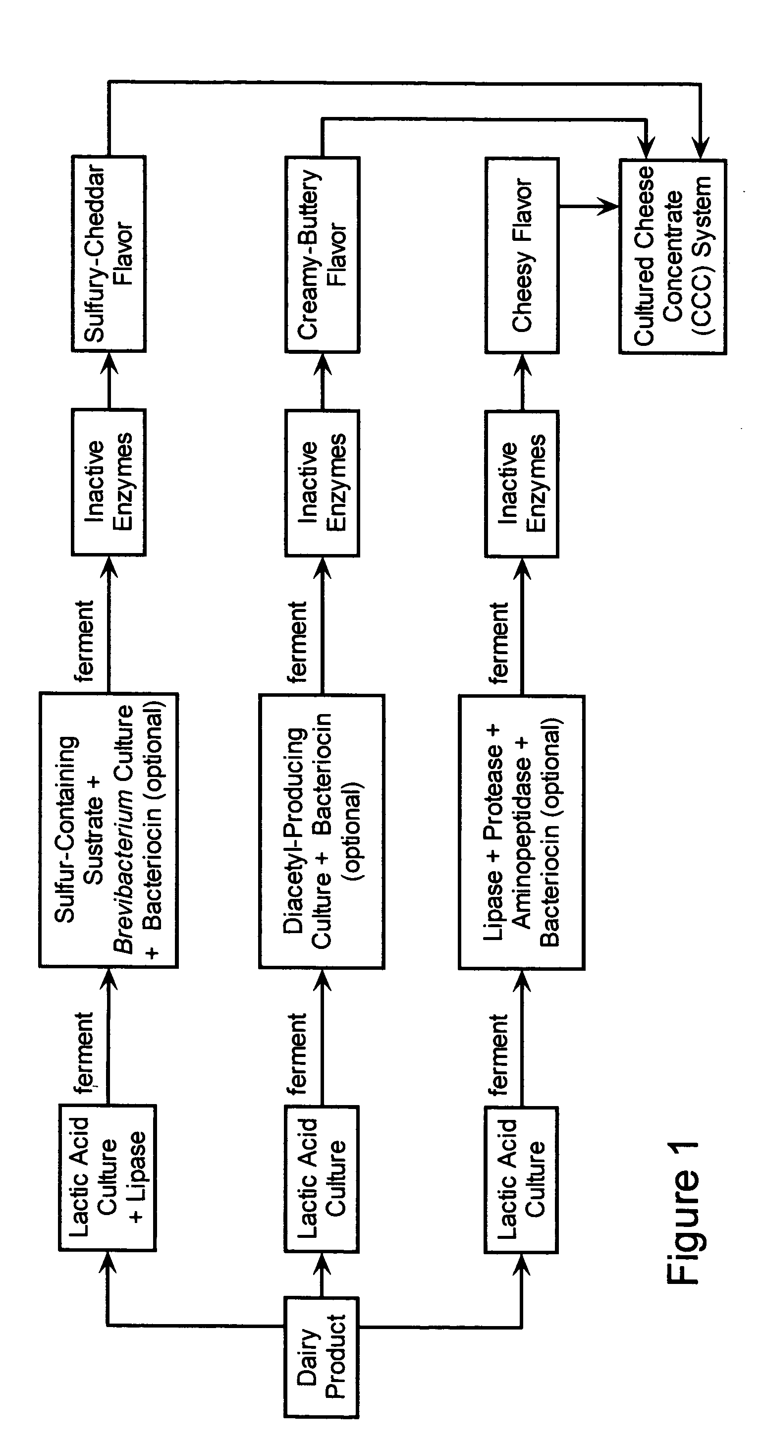 Cheese flavoring systems prepared with bacterocins