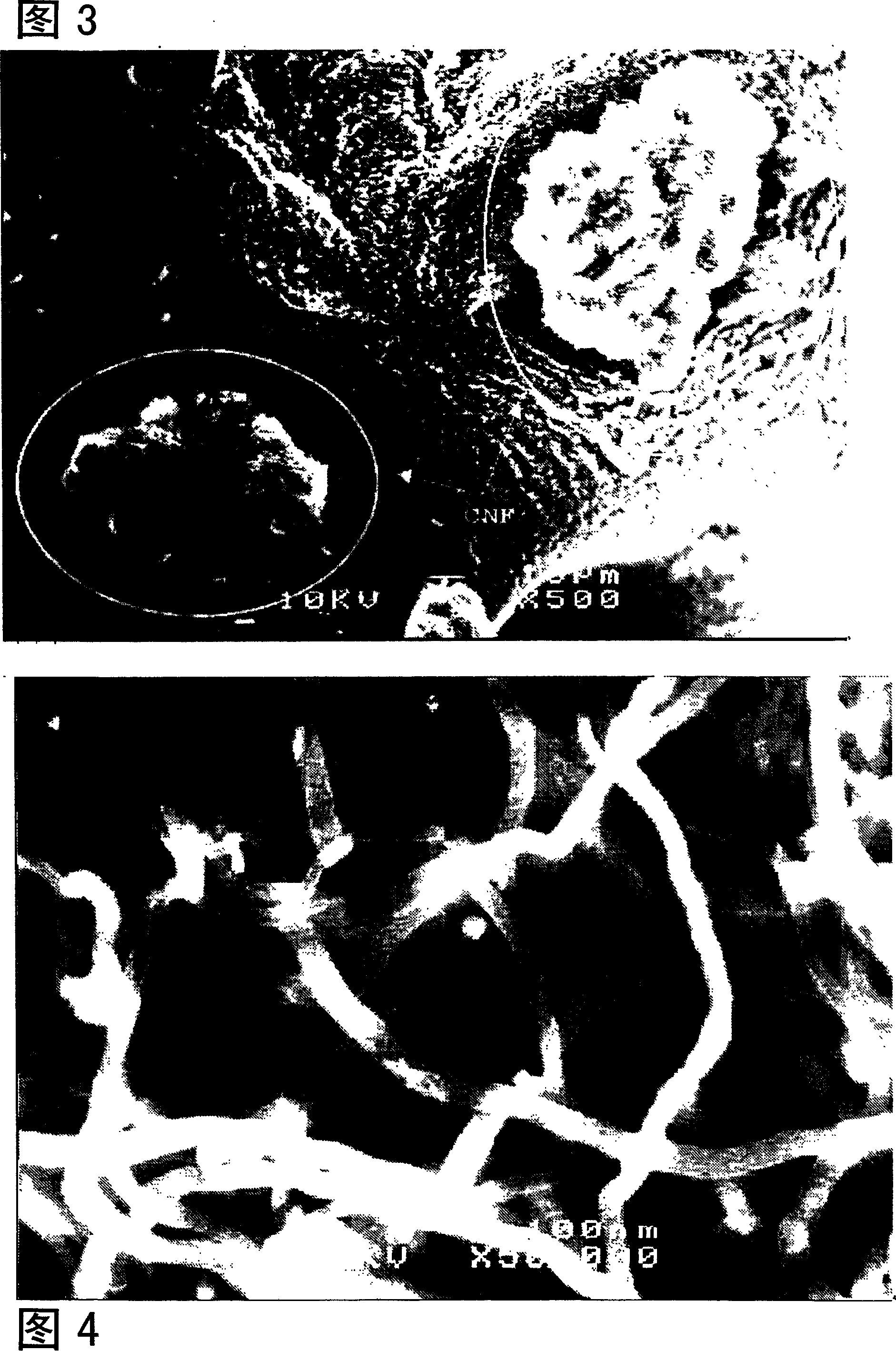 Composite particle for electrode, its manufacturing method, and nonaqueous electrolyte secondary battery