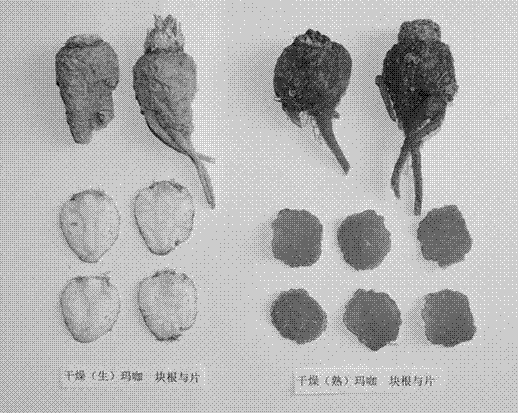 Processing method of red maca