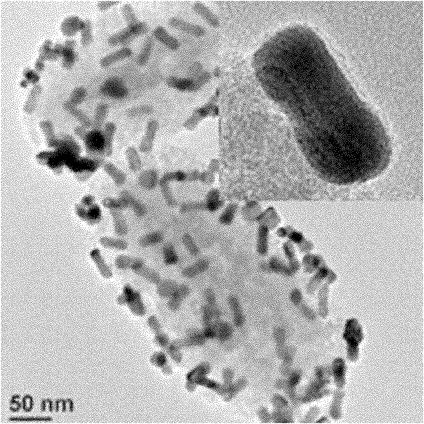 Method for synthesizing mesoporous silica-based nanocomposite embedded with gold nanorods