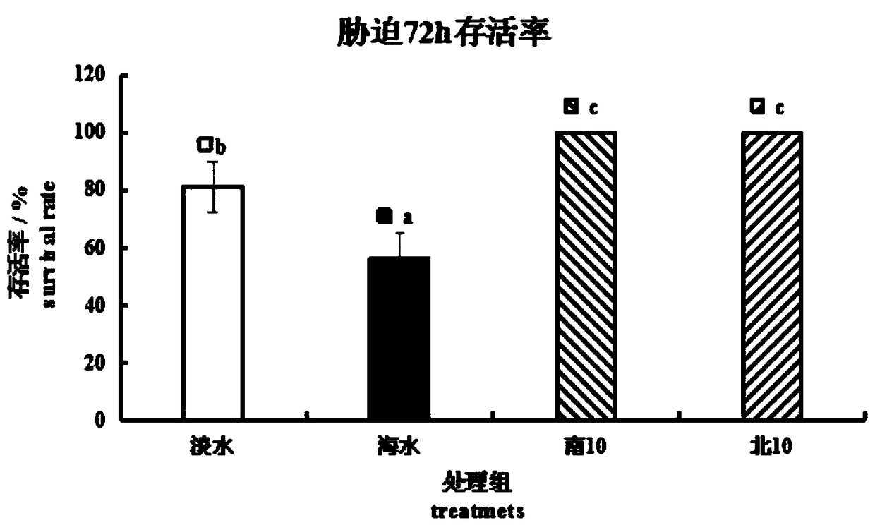 Long-term safe breeding method for lateolabrax japonicus juvenile fish