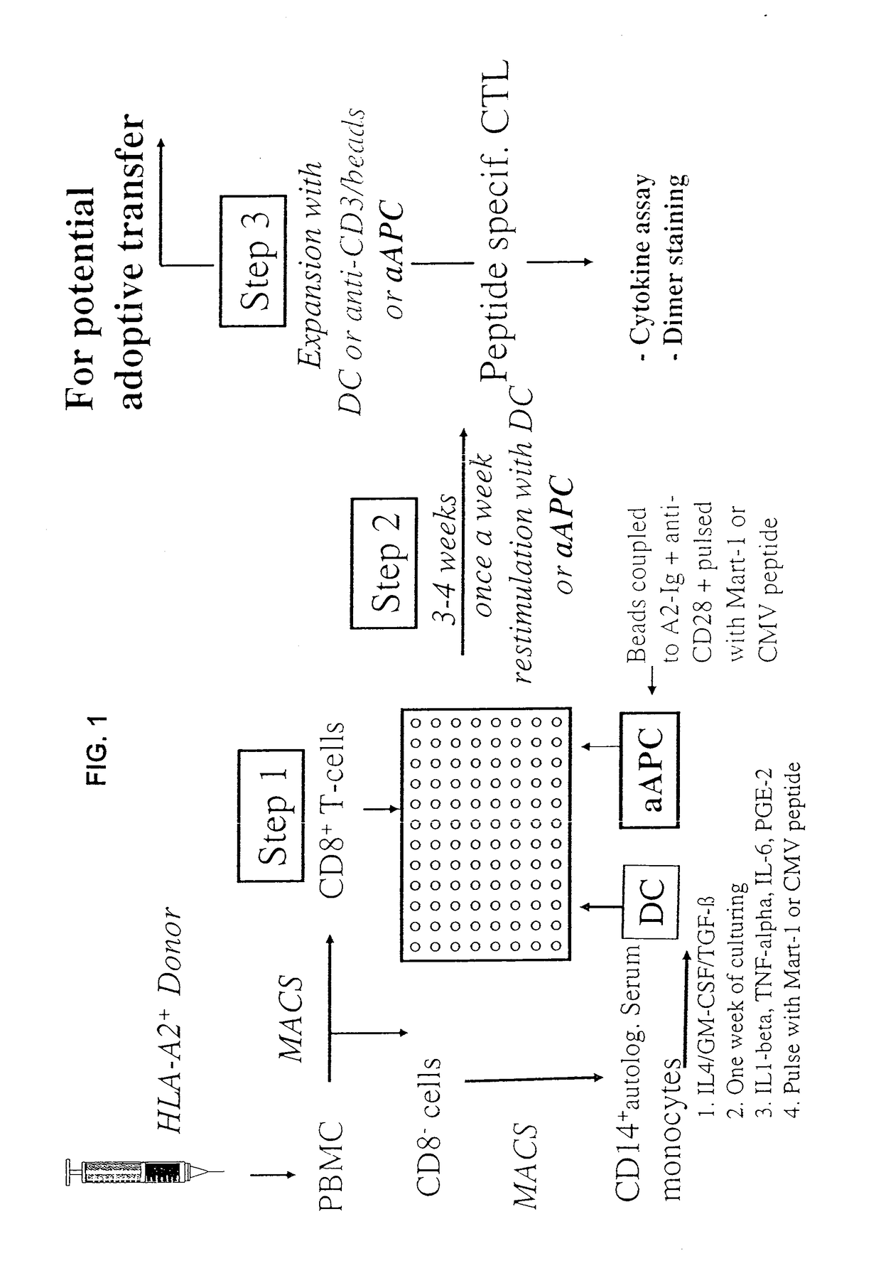 Reagents and Methods for Engaging Unique Clonotypic Lymphocyte Receptors