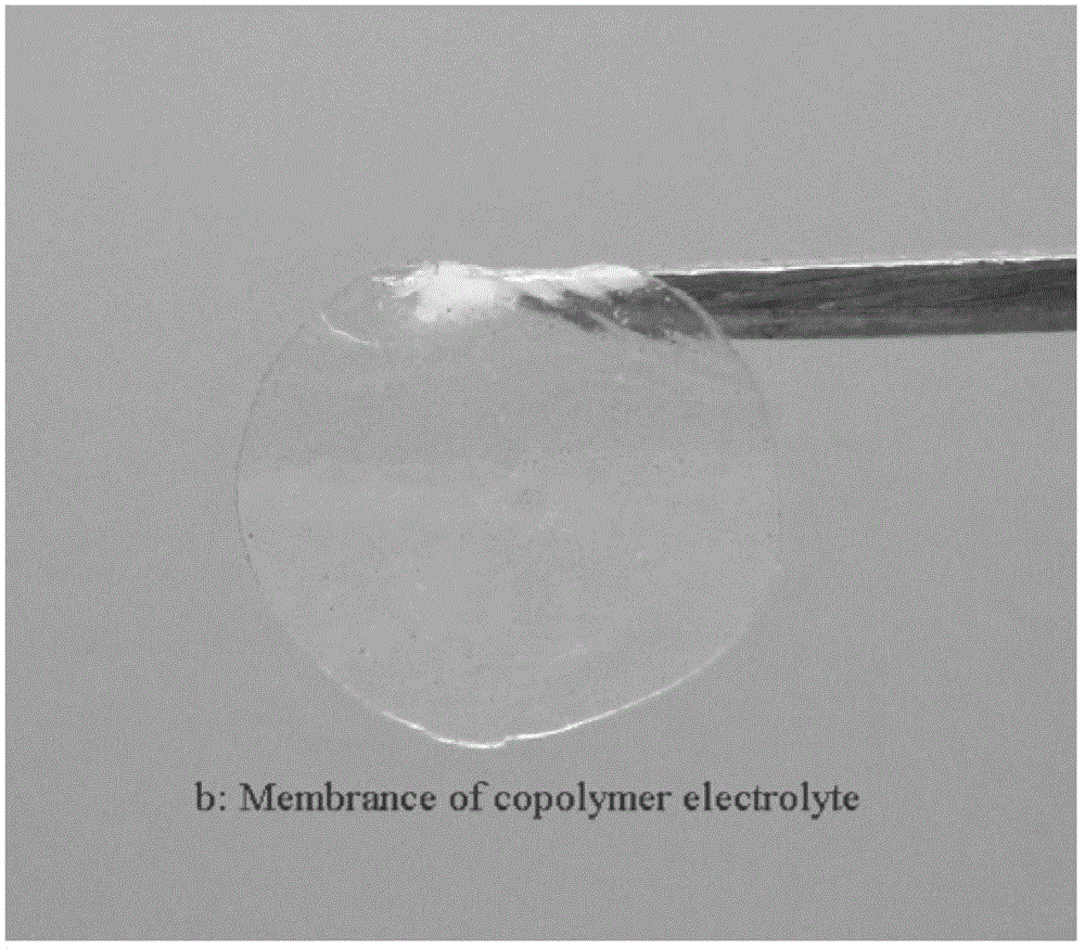 A kind of polymer single-ion electrolyte and preparation method thereof