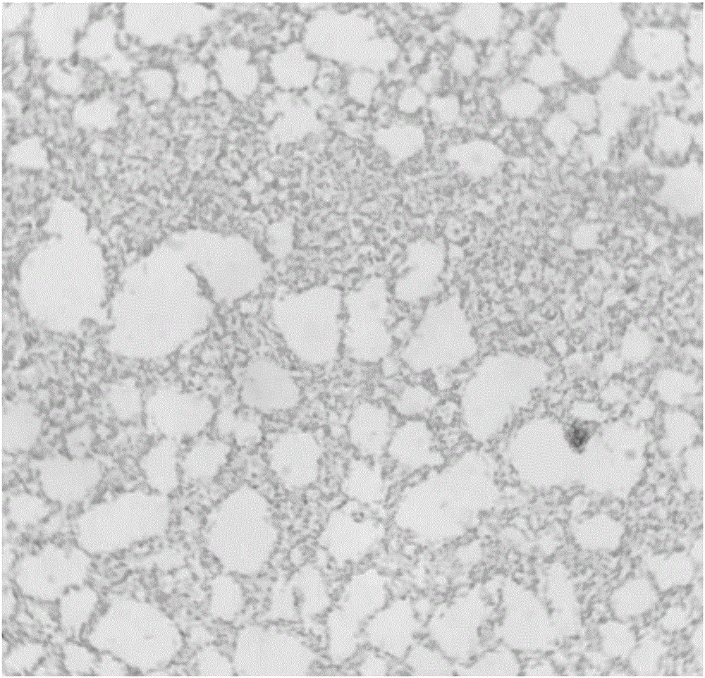 Raoultella sp. pan22x and application thereof