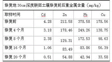 Bioremediation of Soil Contaminated by Cadmium, Zinc, Lead and Copper Ions