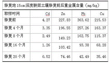 Bioremediation of Soil Contaminated by Cadmium, Zinc, Lead and Copper Ions