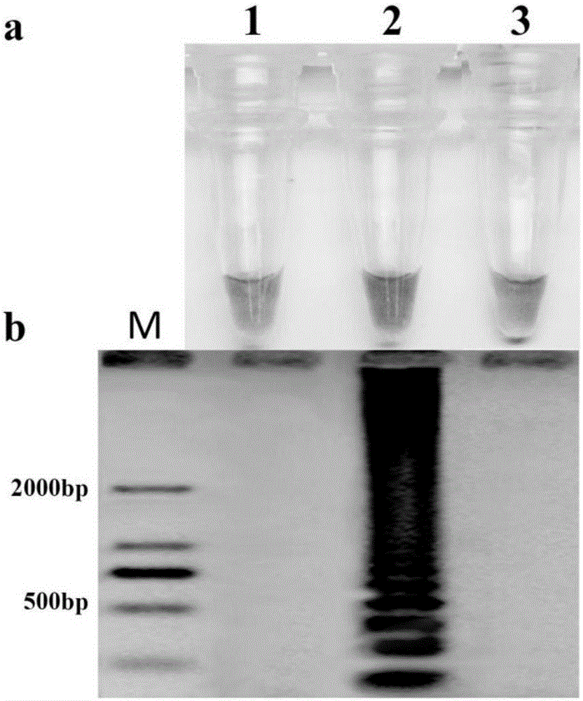 Method for rapidly evaluating resistance risk of botrytis cinerea for QoIs bactericide