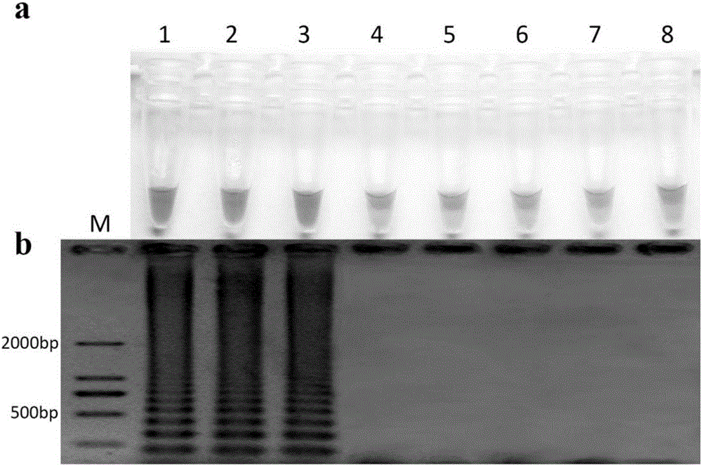 Method for rapidly evaluating resistance risk of botrytis cinerea for QoIs bactericide