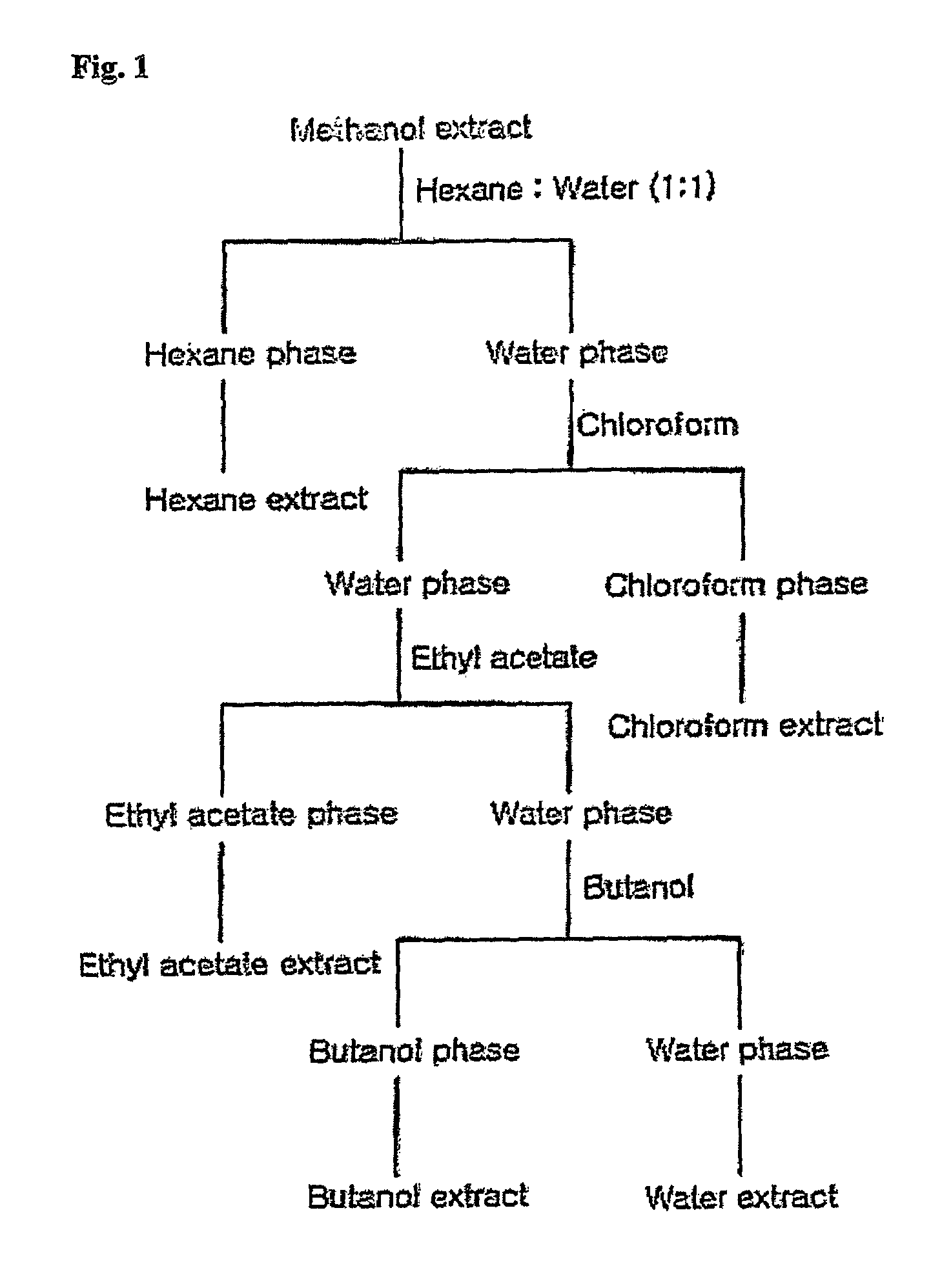 Extract of <i>petasites japonicus </i>having neuroprotective effect and antioxidant activity