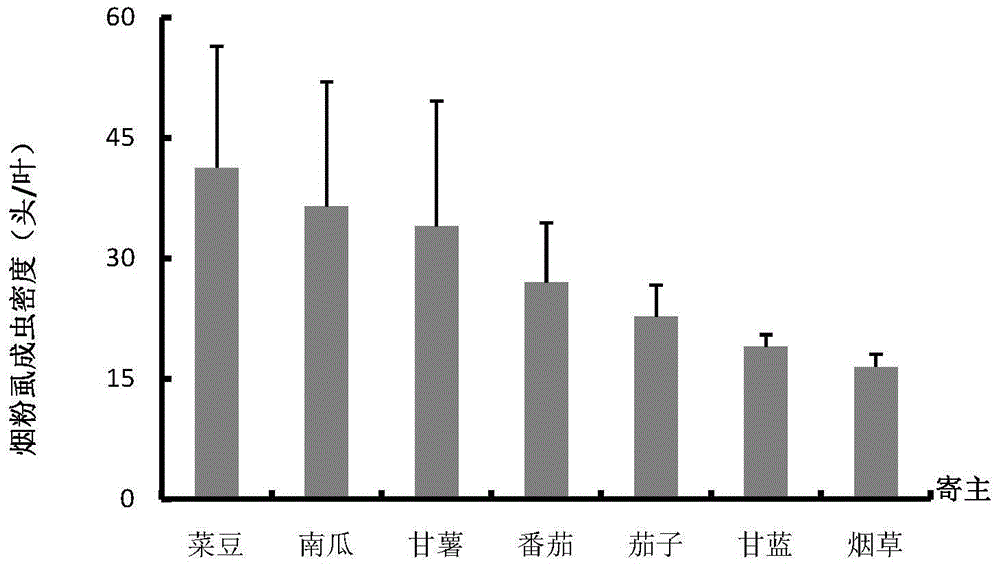 Biological control method using encarsia formosa for controlling tobacco whitefly