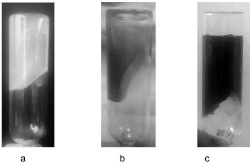 High temperature resistant polymer gel for medium and low temperature gelation and preparation method and application thereof