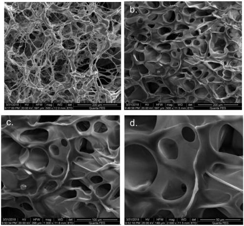 High temperature resistant polymer gel for medium and low temperature gelation and preparation method and application thereof