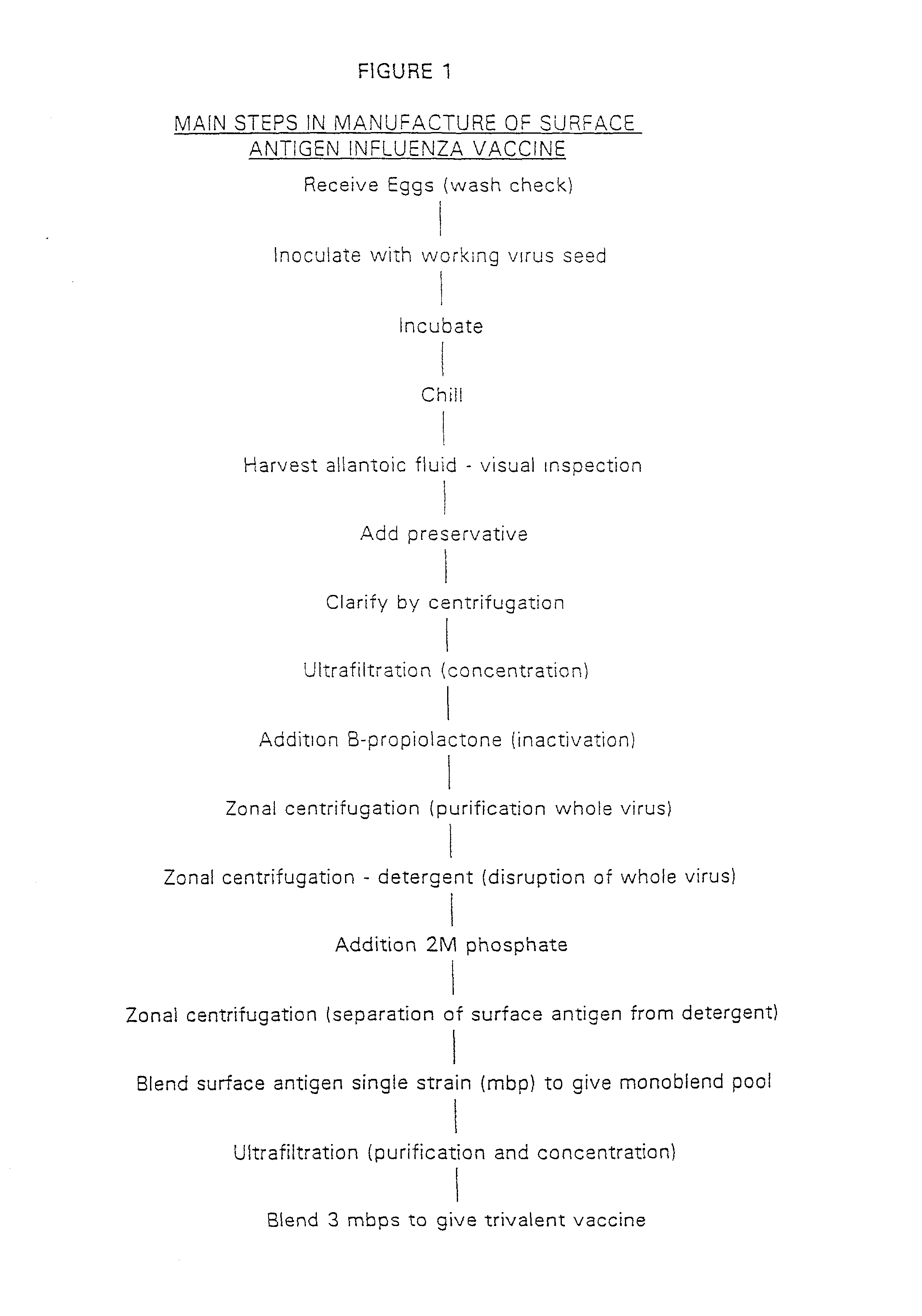 Method of removing endotoxin from vaccines