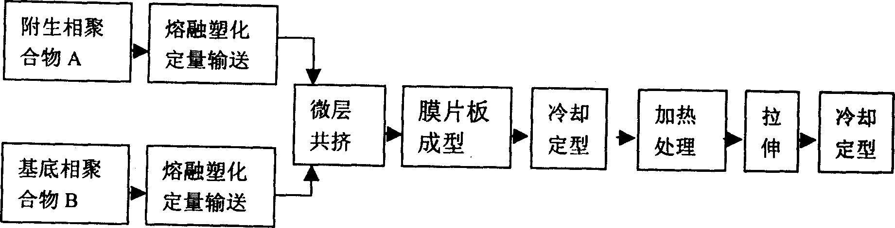 Multilayer polymer compound packaging material with with nano layer texture and its processing method