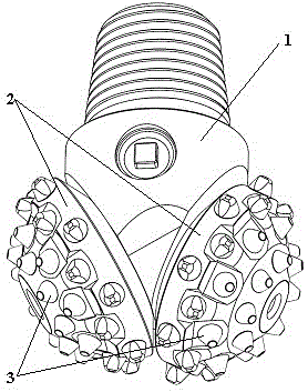 Composite bit formed by rotary cut bit and roller bit