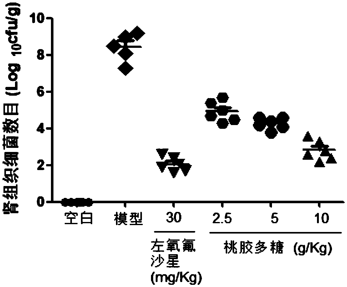 Application of peach gum polysaccharide to preparing drug or healthcare product used for treating or preventing nephritis and pharmaceutical composition