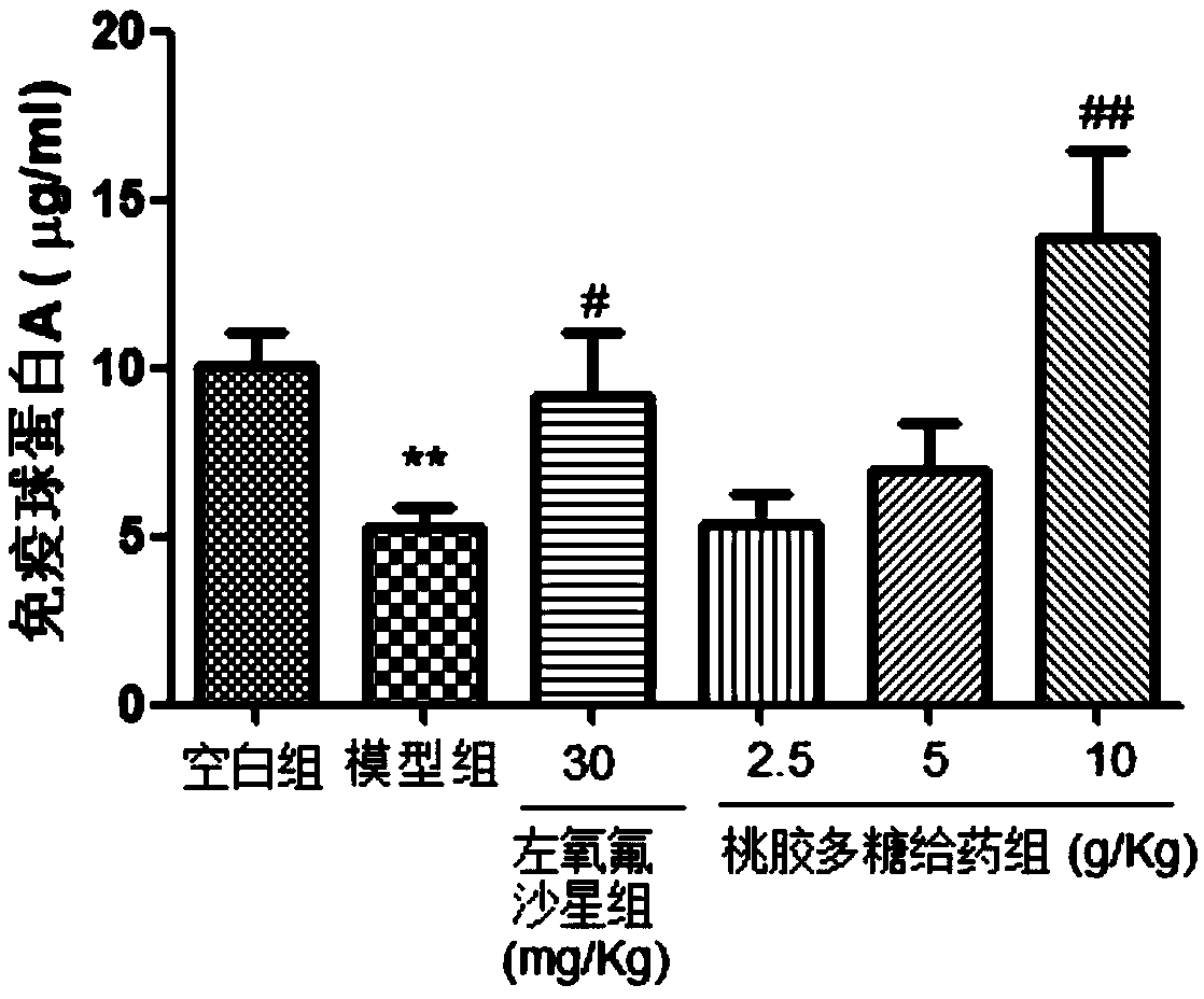 Application of peach gum polysaccharide to preparing drug or healthcare product used for treating or preventing nephritis and pharmaceutical composition