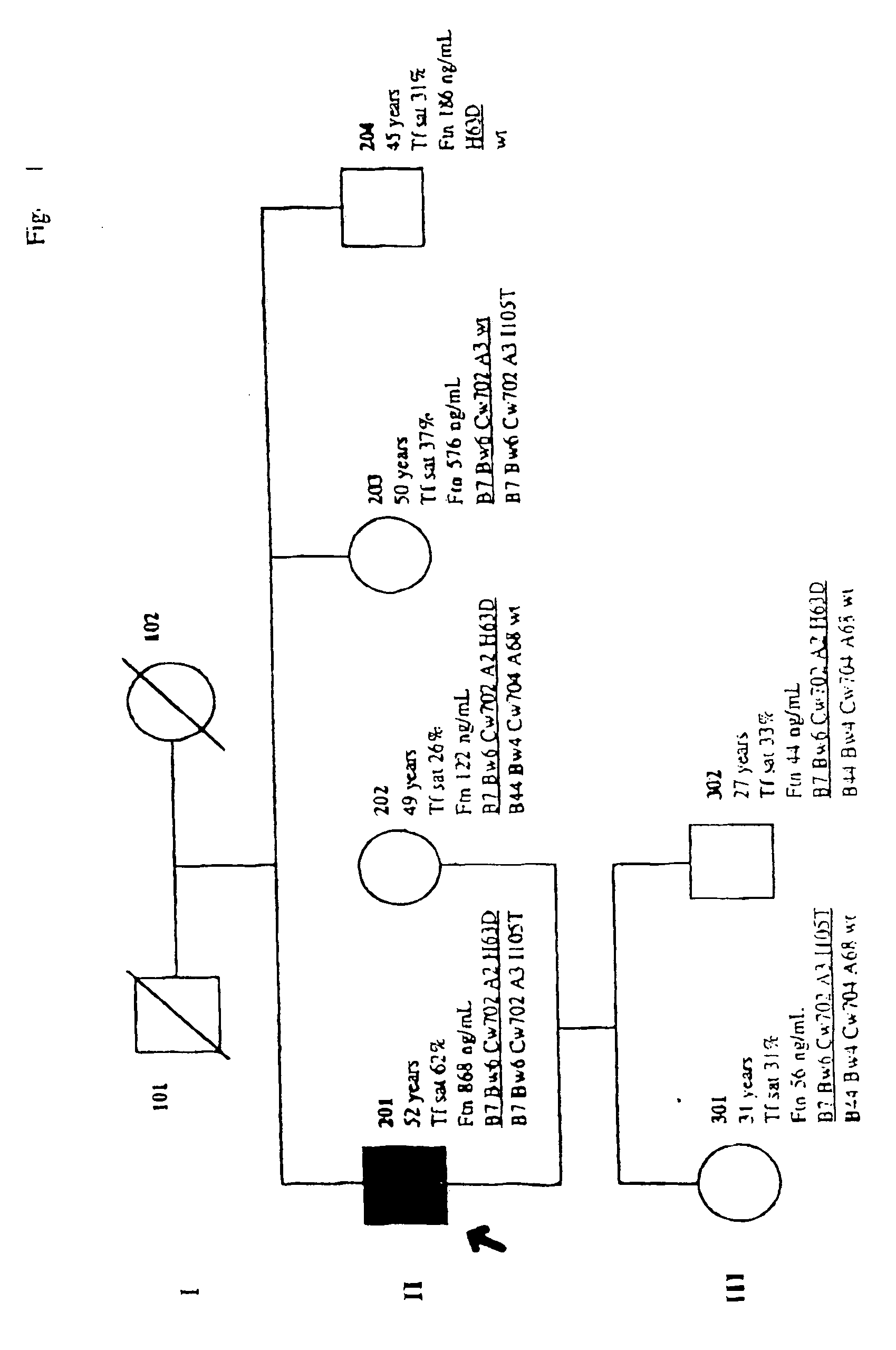 Mutations associated with iron disorders