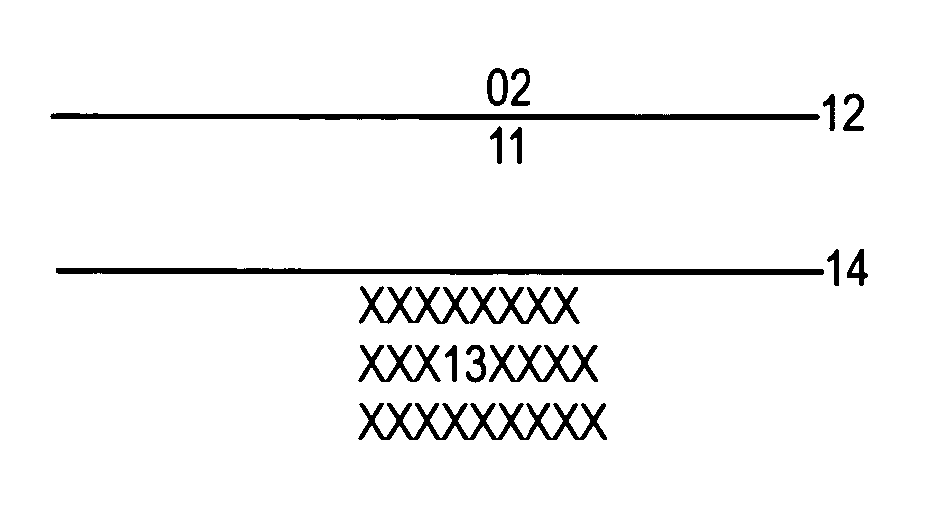 Membrane purification system