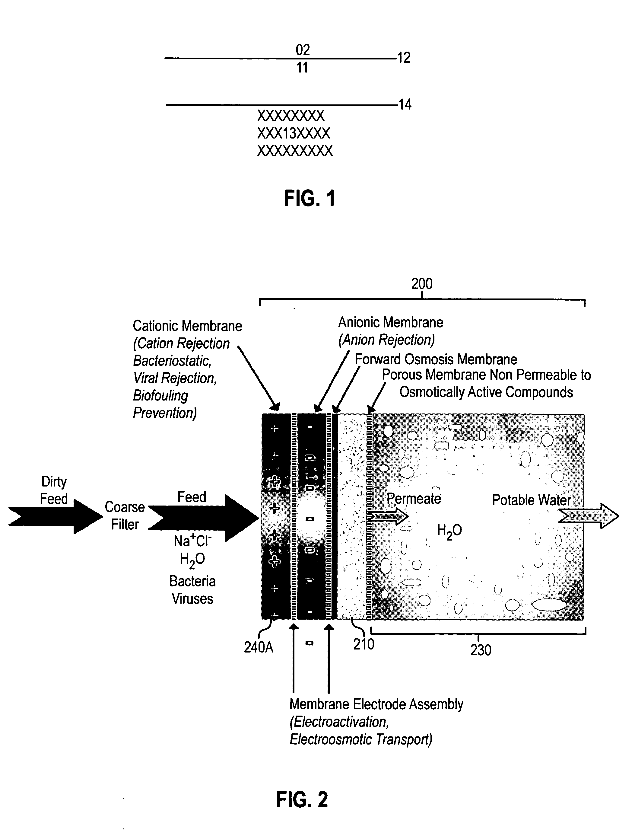 Membrane purification system