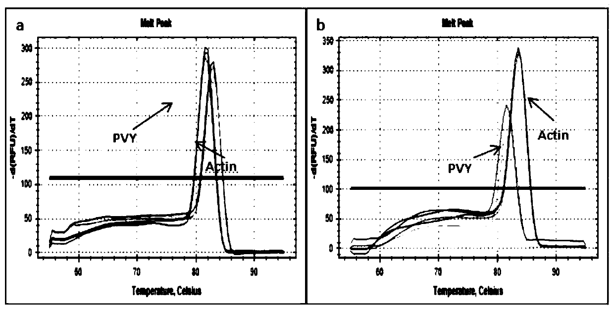 Salt-tolerance bacillus E40207a2 and application thereof