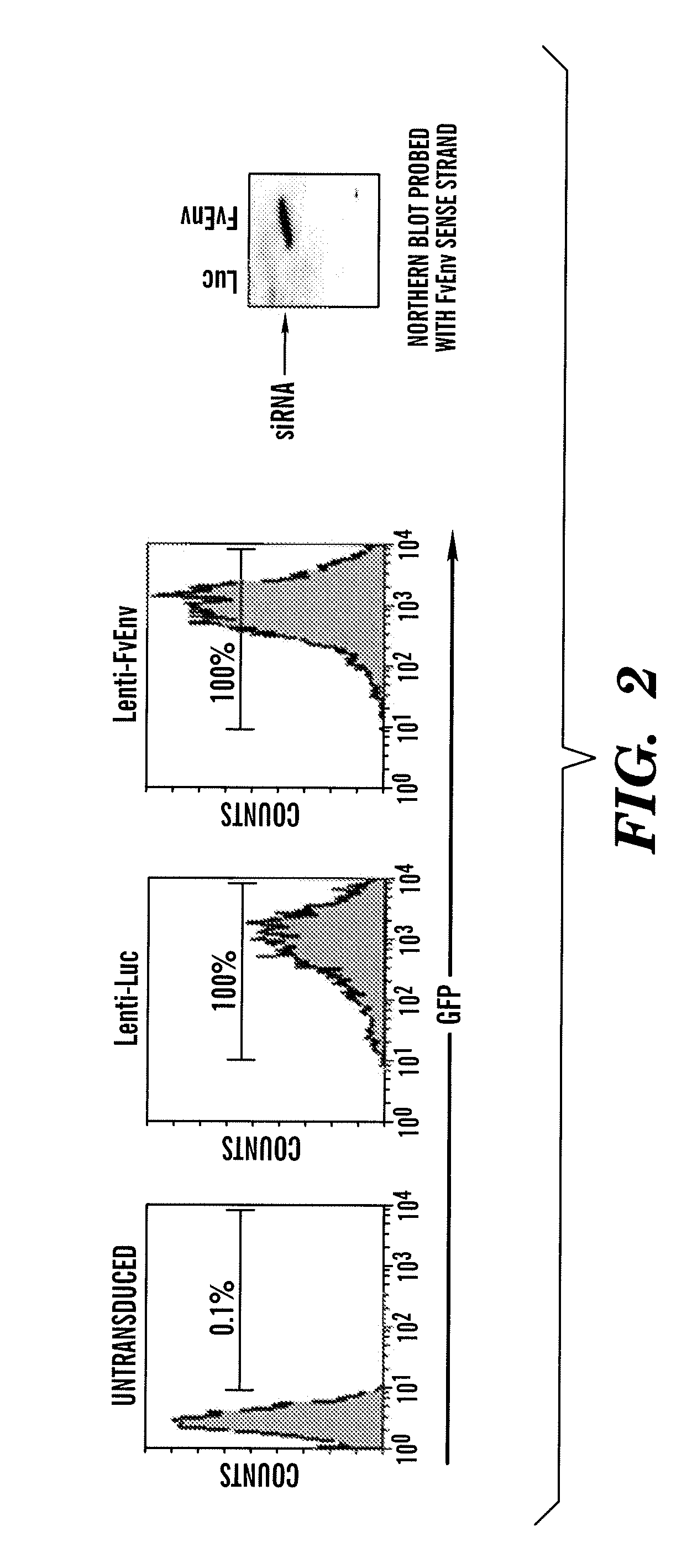 Method for Delivery Across the Blood Brain Barrier