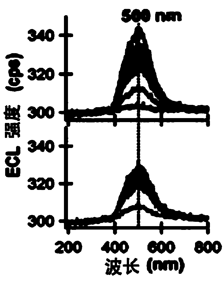 Application of a compound as an electrochemiluminescent material