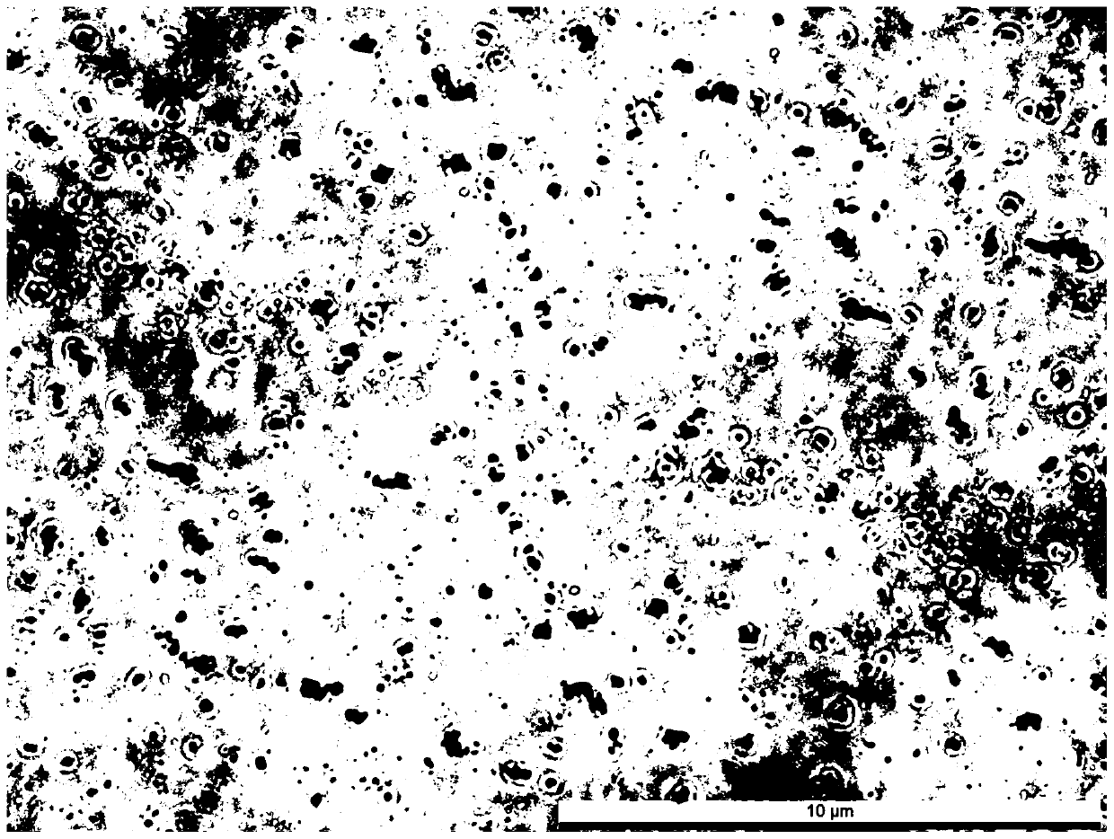 A rapid and efficient method for isolating single antigen-specific B cells