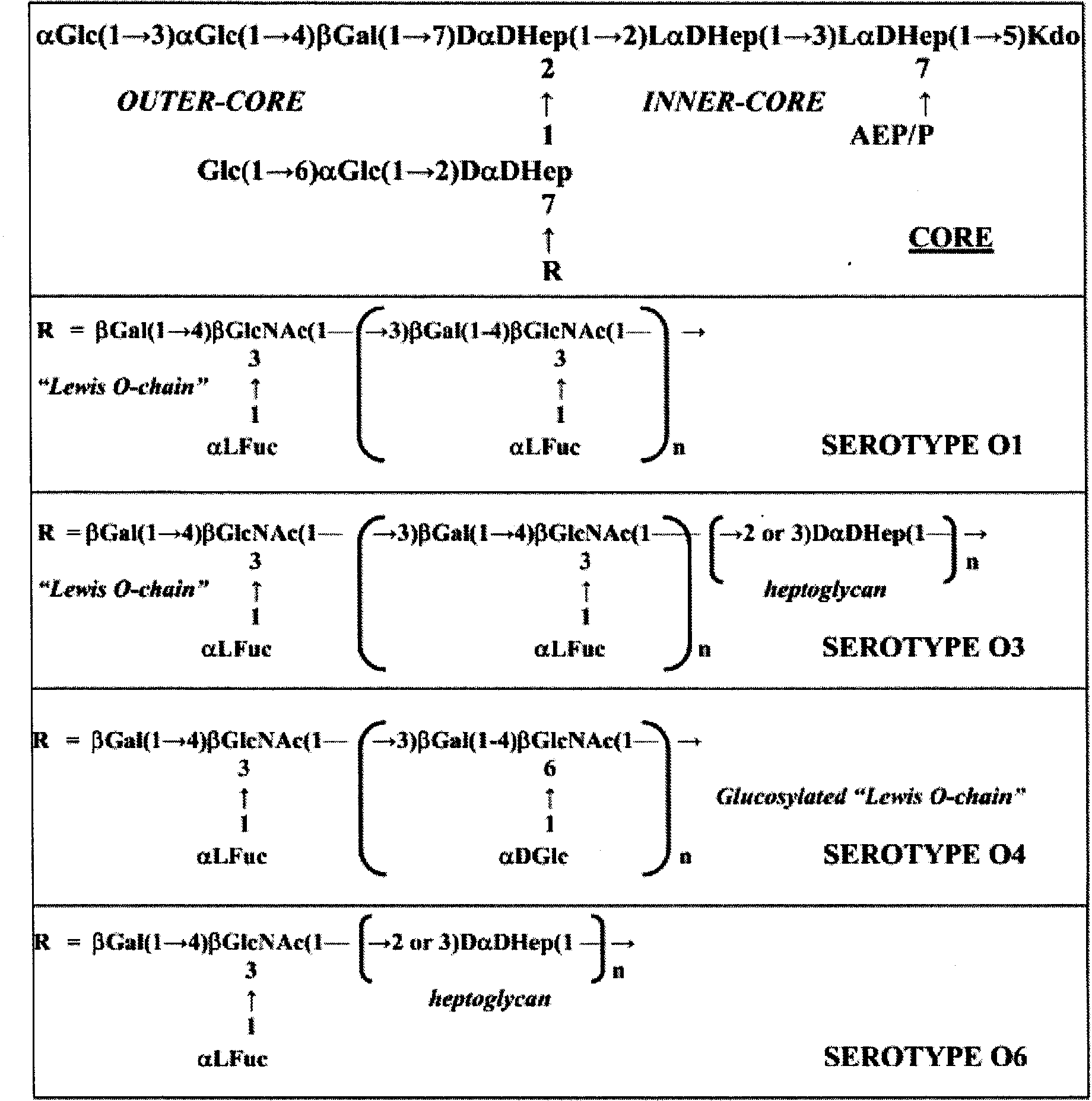 Helicobacter pylori serotype classification method and helicobacter pylori biochip construction method