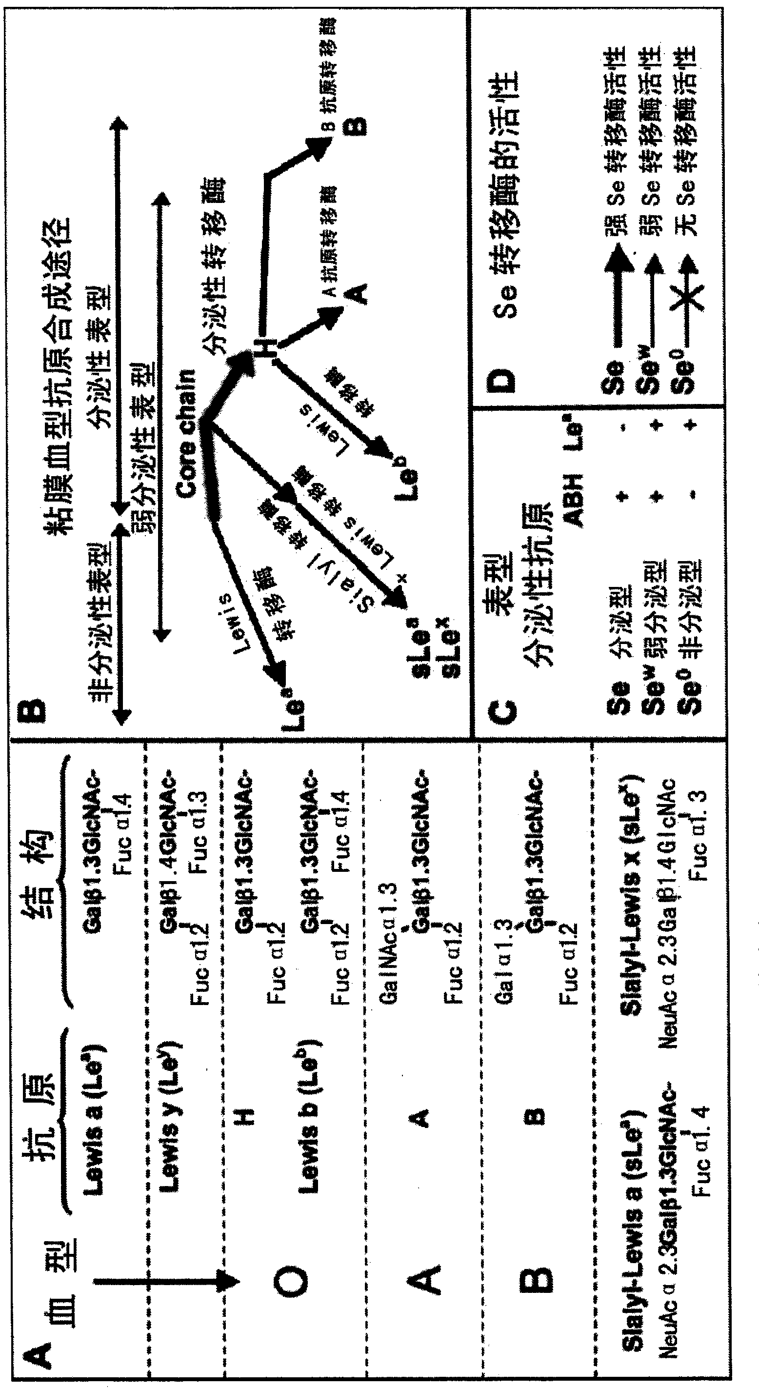 Helicobacter pylori serotype classification method and helicobacter pylori biochip construction method