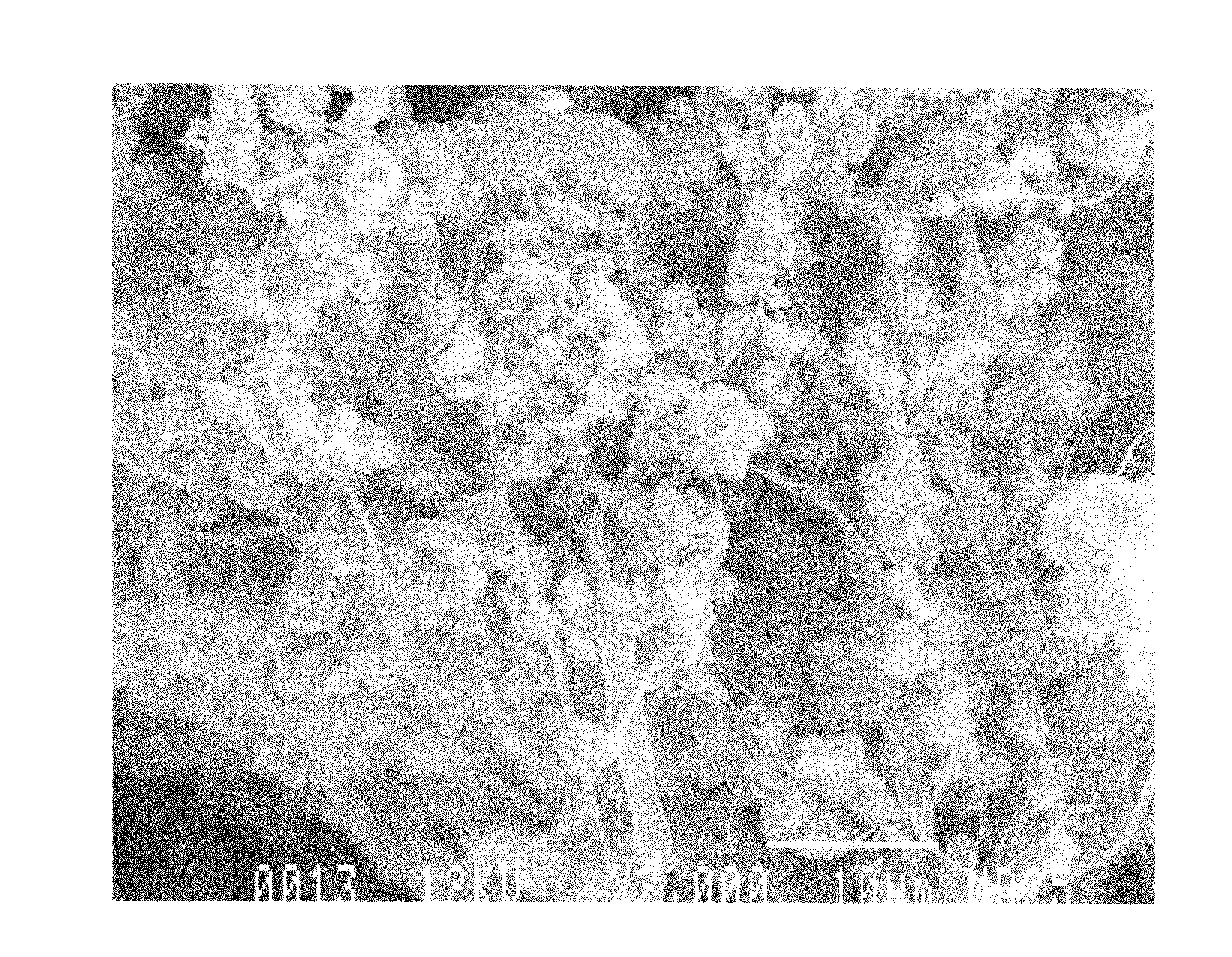 Cellulose-reinforced high mineral content products and methods of making the same