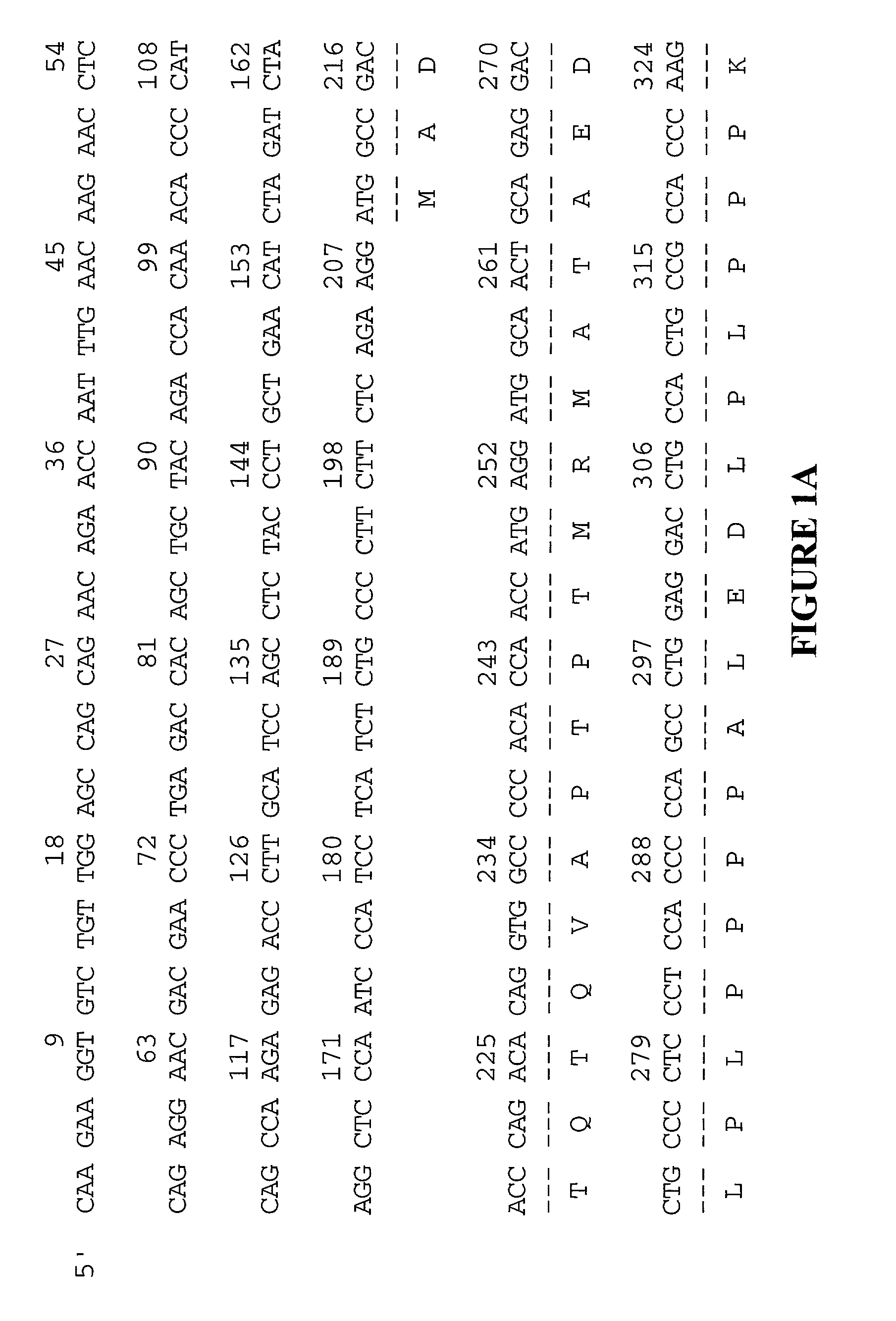 Xin-related proteins