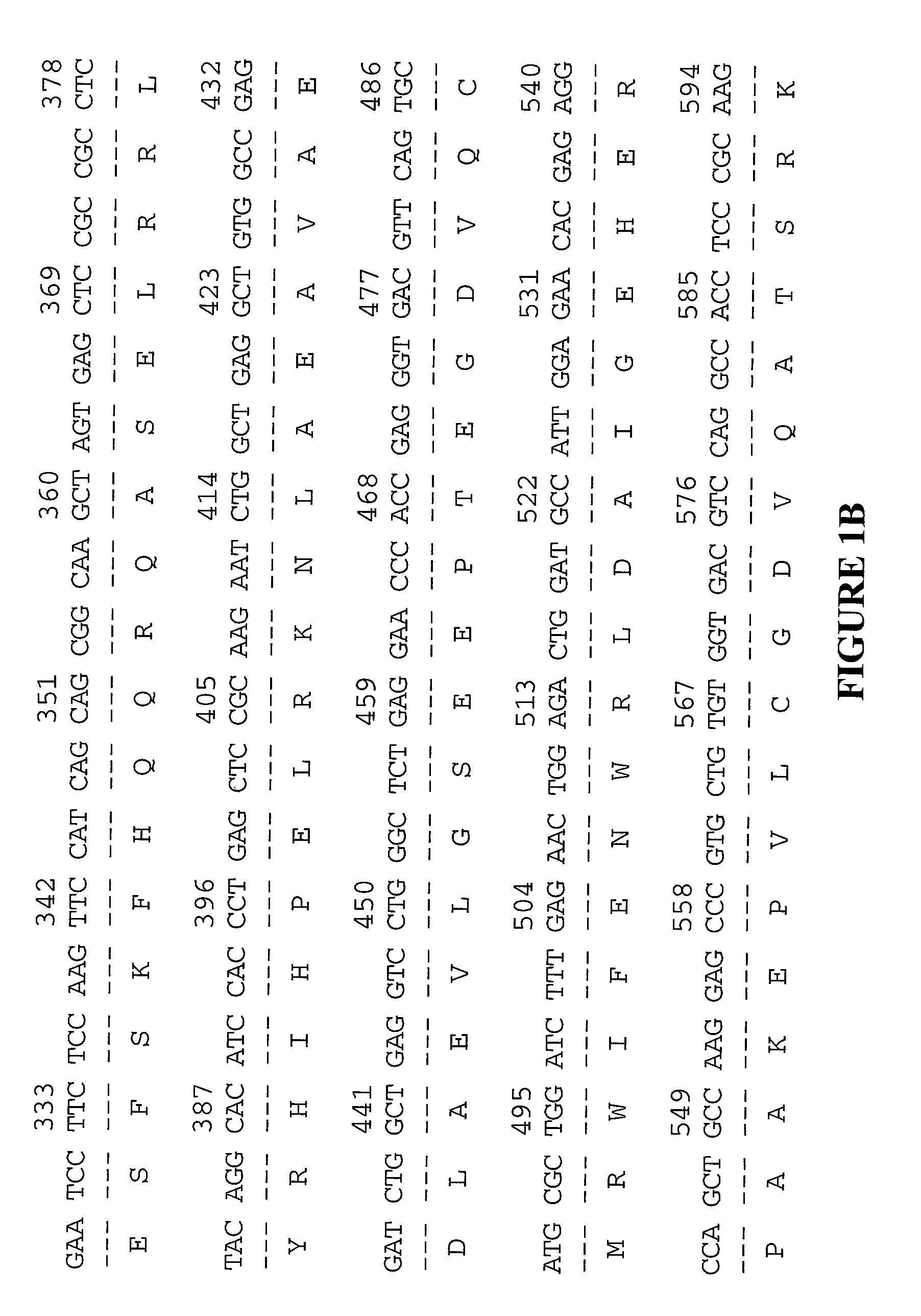 Xin-related proteins