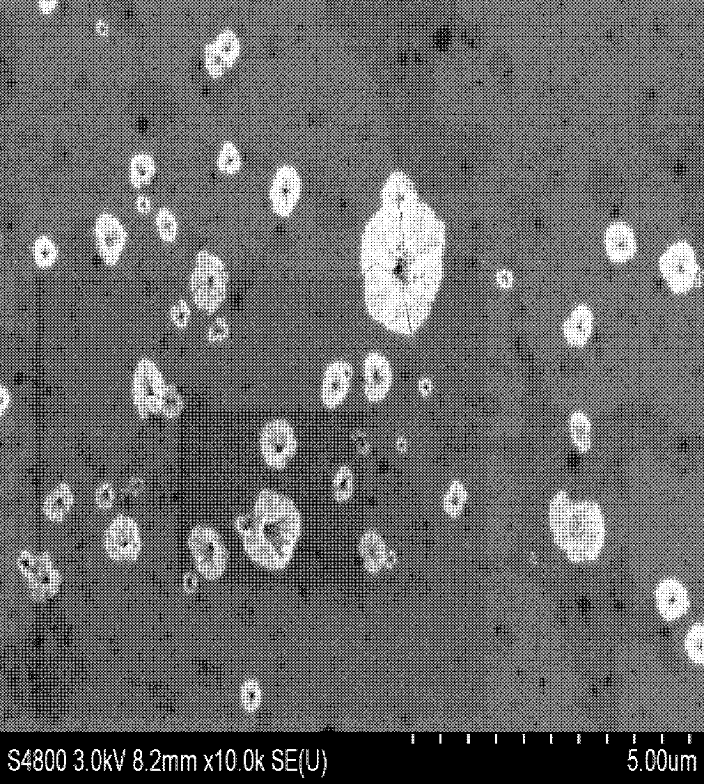 Horseradish peroxidase-trumpet flower-shaped zinc phytate-glassy carbon electrode electrochemical biosensor and construction method thereof