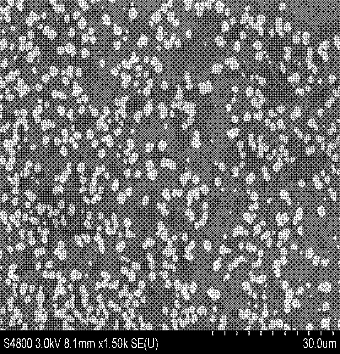 Horseradish peroxidase-trumpet flower-shaped zinc phytate-glassy carbon electrode electrochemical biosensor and construction method thereof