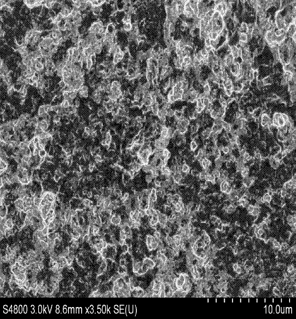 Horseradish peroxidase-trumpet flower-shaped zinc phytate-glassy carbon electrode electrochemical biosensor and construction method thereof