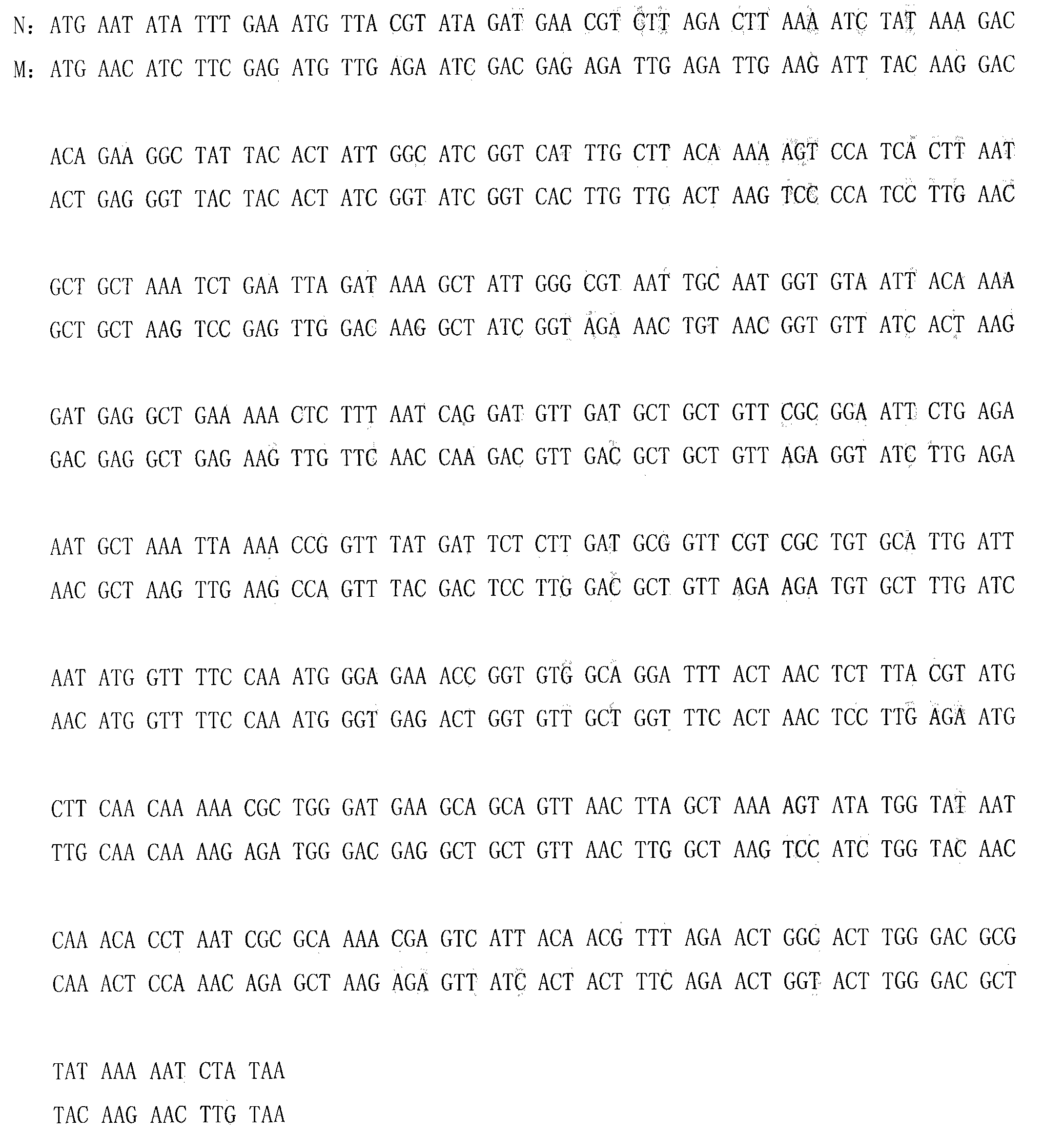 Method for efficiently expressing and producing T4 lysozyme through recombinant hansenula polymorpha in constitutive mode