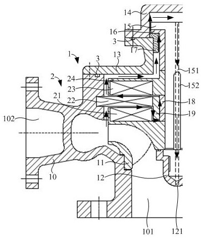 Rare earth permanent magnet motor driven centrifugal pump and self-lubricating method