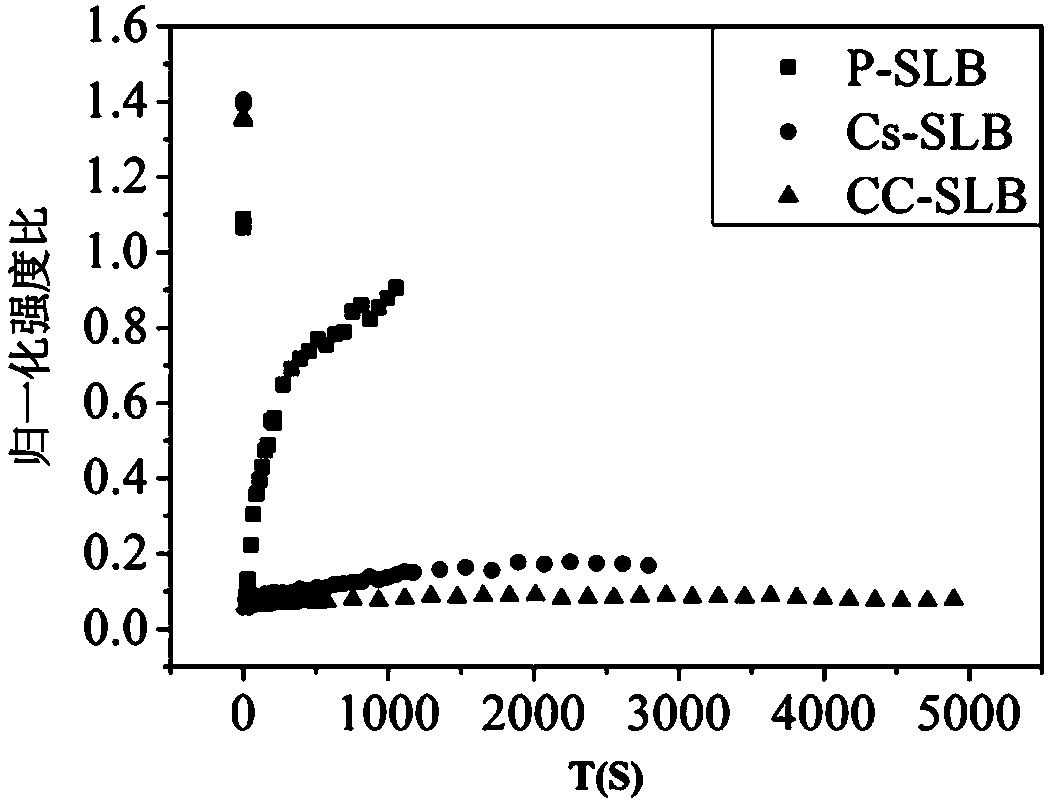 Method for regulating self-renewal and differentiation of neural stem cells