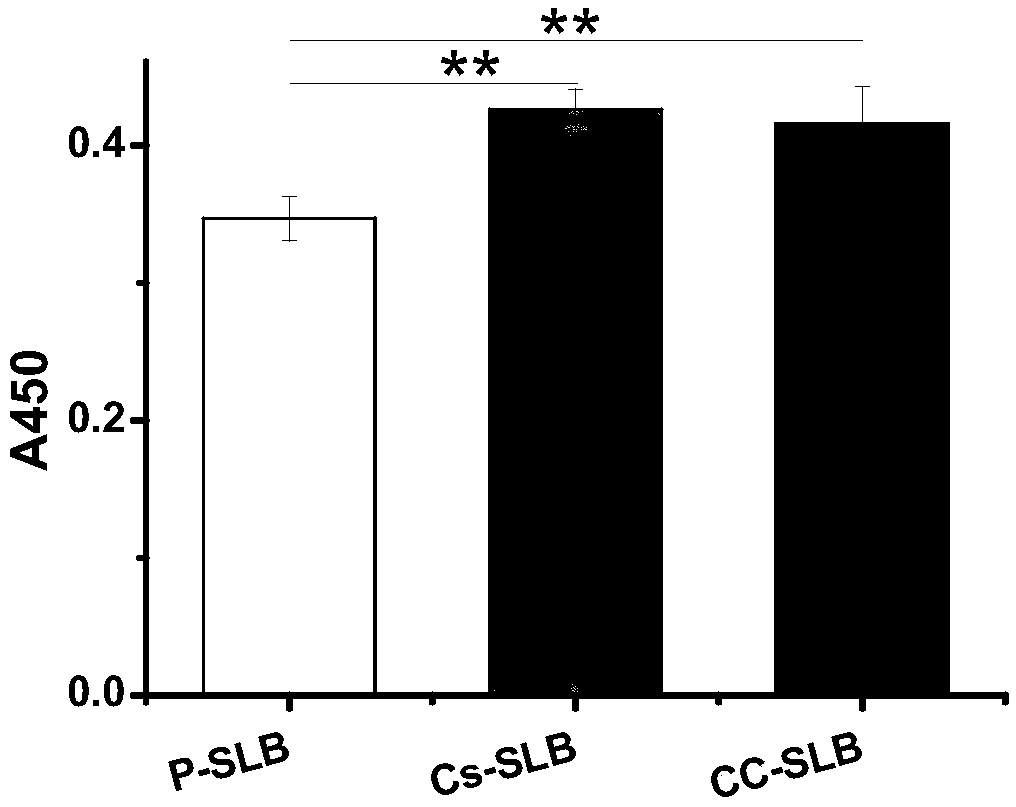 Method for regulating self-renewal and differentiation of neural stem cells