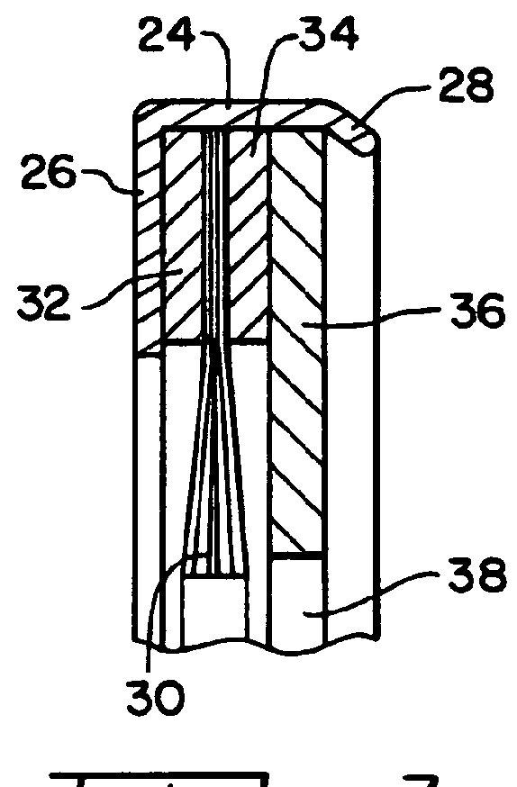 Shaft current control brush ring assembly