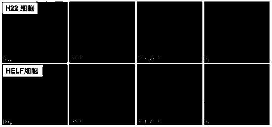 Photosensitizer targeting tumor expressing urokinase receptor, preparation method and use thereof