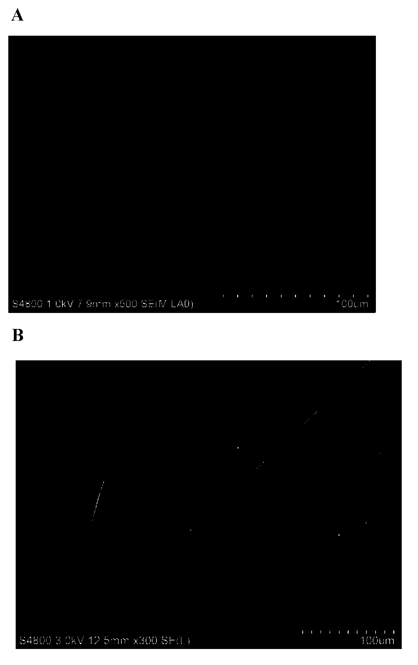 High-performance spider-silk-like protein material and its biosynthesis method